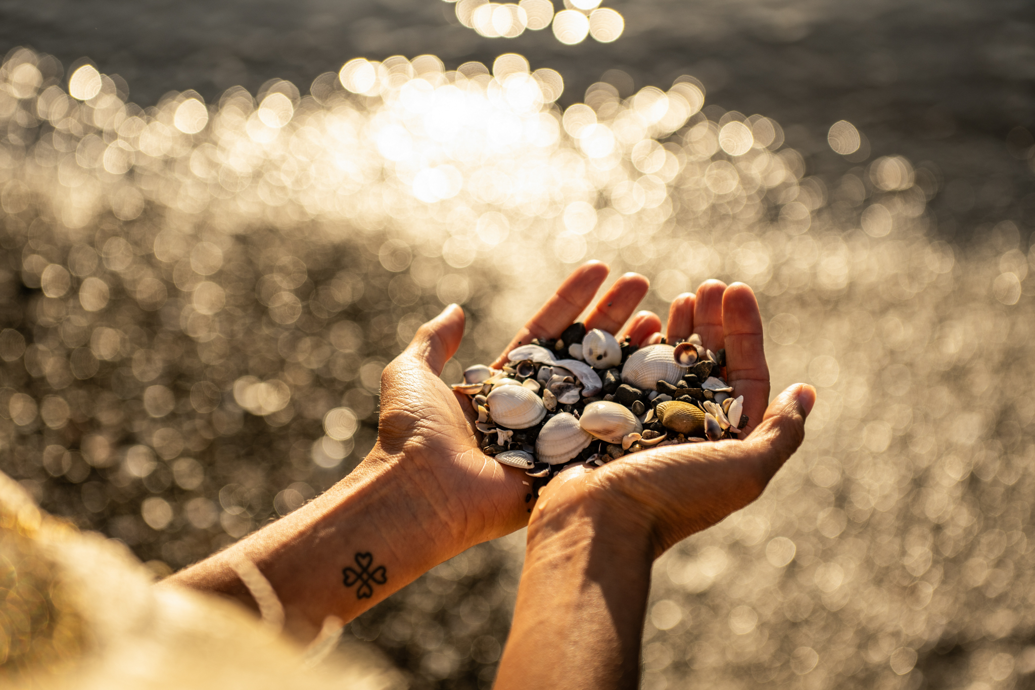 House-of-Healing_magic-4